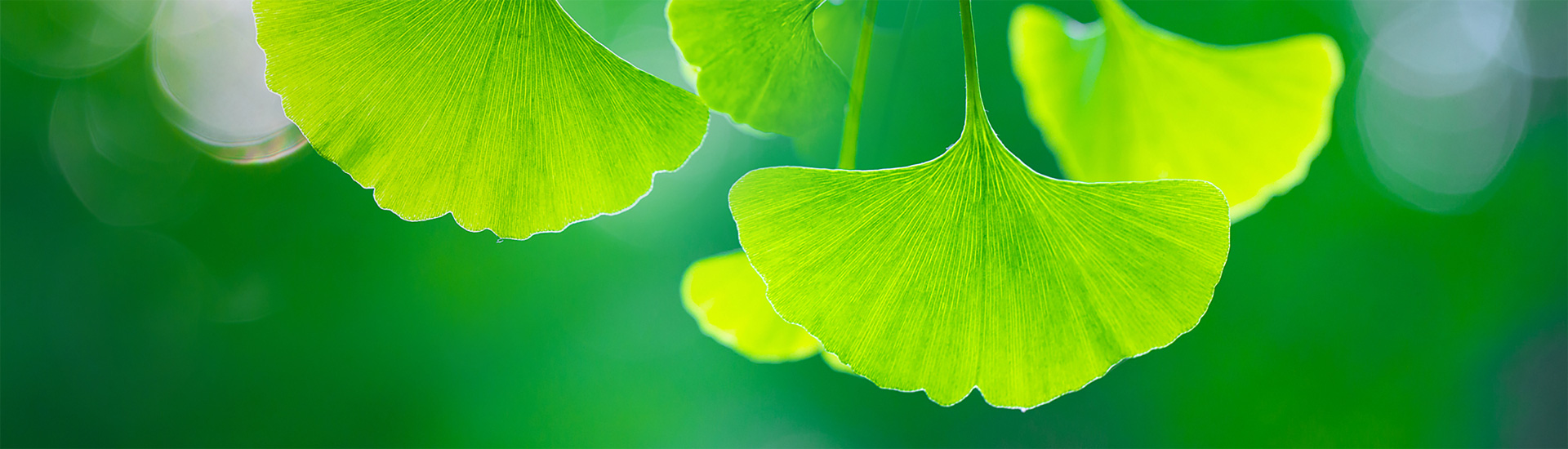 关于人生就是搏